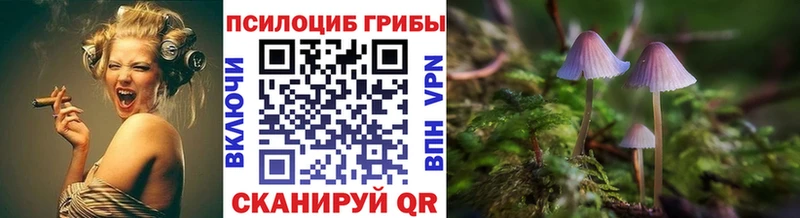 Галлюциногенные грибы Magic Shrooms  Купить где  Боготол 