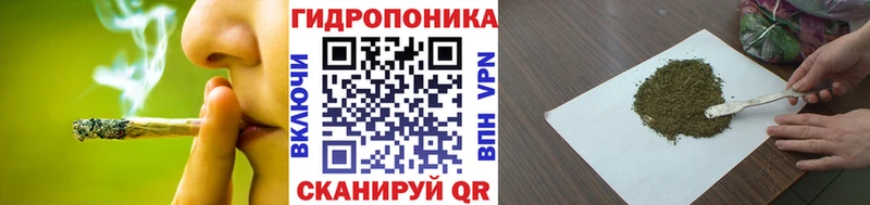 Шишки марихуана MAZAR  Купить закладки  Боготол 